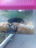 /album/merri/ct-ke-vkacs-jpg/