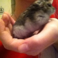 /album/merri/fct7mmwle4e-jpg/