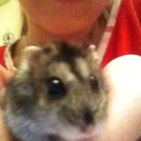 /album/merri/lwza2ddg7fi-jpg/