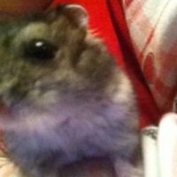 /album/merri/plbxe7cenwu-jpg/