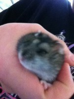 /album/merri/srymqfbzjsm-jpg/