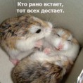 /album/fotogalereya/a0-8f84-7edcc061-m-jpg/