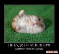 /album/fotogalereya/a1584273-10620thumb500-jpg/