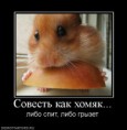 /album/fotogalereya/a51913160-jpg/