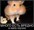/album/fotogalereya/a20120808175236-jpg/