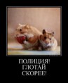/album/fotogalereya/a0111112144501400-jpg/