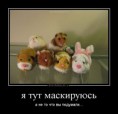 /album/fotogalereya/a0304120853125936-jpg/