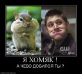 /album/fotogalereya/a87d8a3c16e5-jpg/