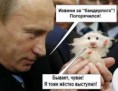 /album/fotogalereya/images-jpg2/