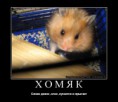/album/fotogalereya/jp-jpg/